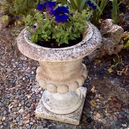 Le Ronquer * Barbotan-les-Bains
